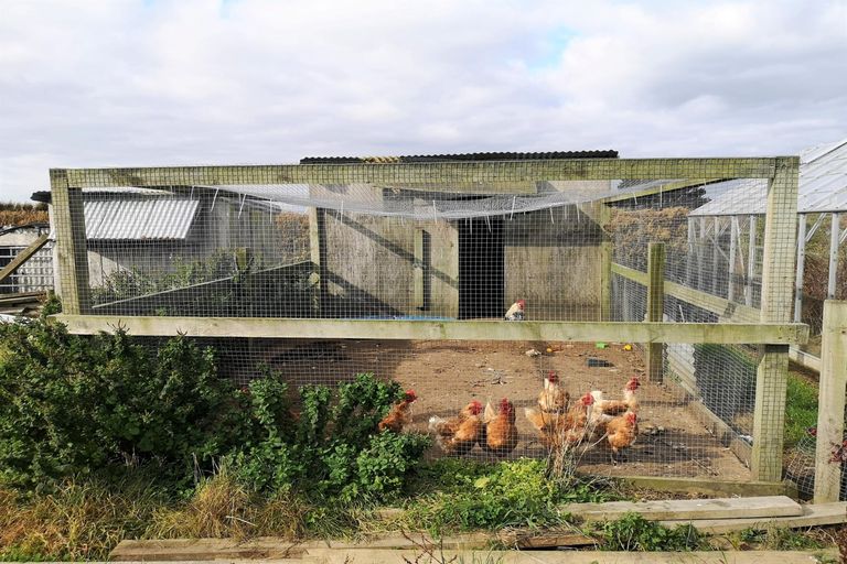 Photo of property in 206 Melville Road, Kaponga, Hawera, 4679