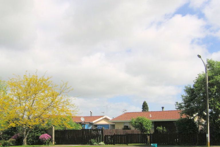 Photo of property in 17 Turnbull Crescent, Morrinsville, 3300