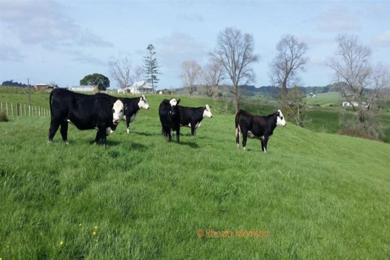 Photo of property in 59 Ariels Lane, Paparoa, Maungaturoto, 0583