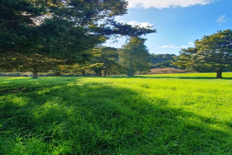 Photo of property in 550 Burnside Road, Makarau, Warkworth, 0873