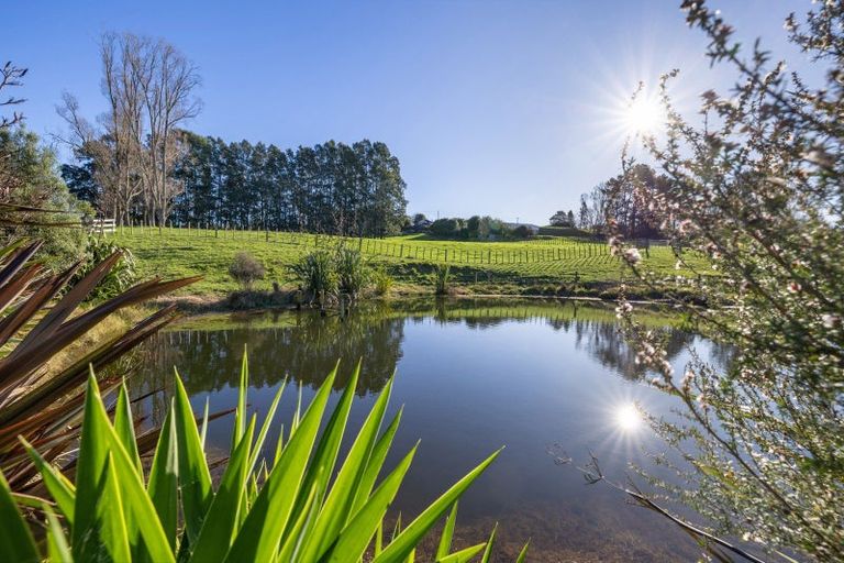 Photo of property in 4953 Ohaupo Road, Te Awamutu, 3879
