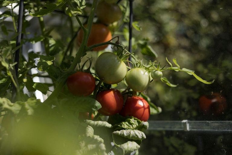 Photo of property in 165 Karori Road, Karori, Wellington, 6012