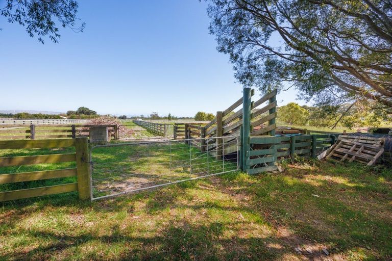 Photo of property in 89 Ulysses Road, Ashhurst, Palmerston North, 4470