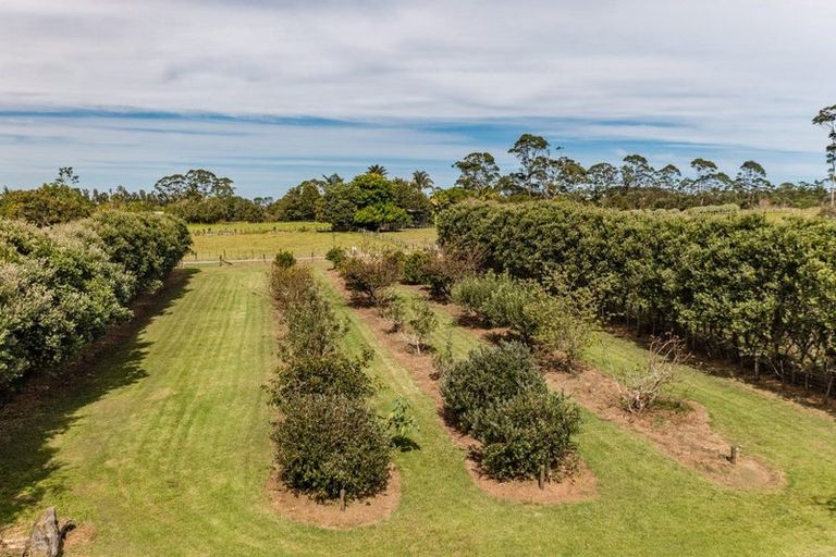 Photo of property in 145b Ness Road, Waipapa, 0295