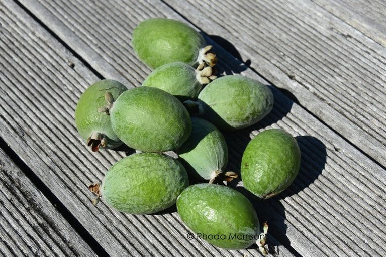 Photo of property in 76 Komiti Road, Tinopai, 0593