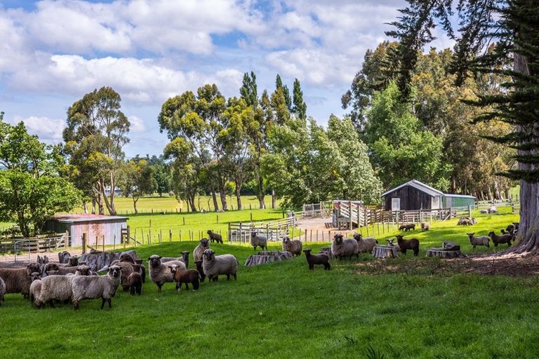 Photo of property in 97 Tataramoa Road, Matamau, Dannevirke, 4977