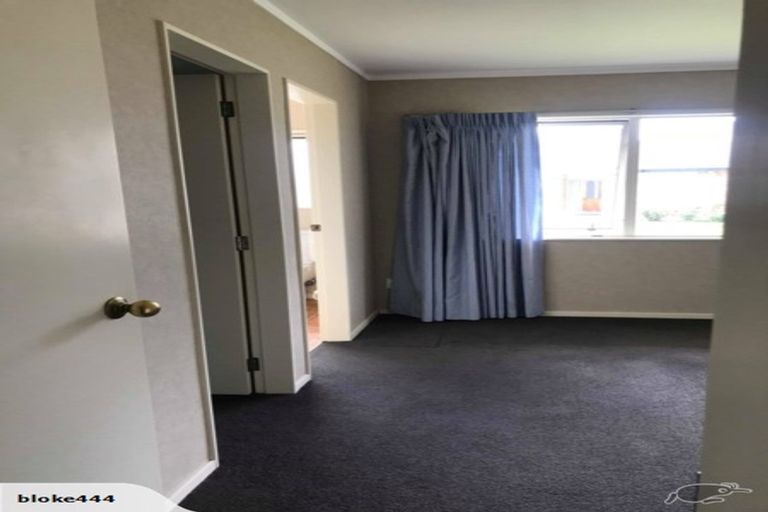 Photo of property in 17 Te Koari Drive, Brookfield, Tauranga, 3110