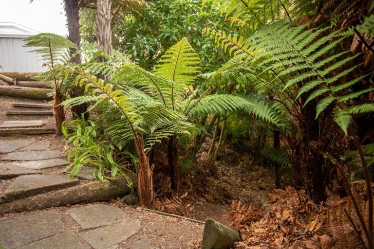 Photo of property in 5 Tainui Street, Raumati Beach, Paraparaumu, 5032