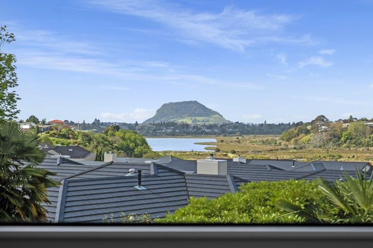 Photo of property in 123 Carmichael Road, Bethlehem, Tauranga, 3110