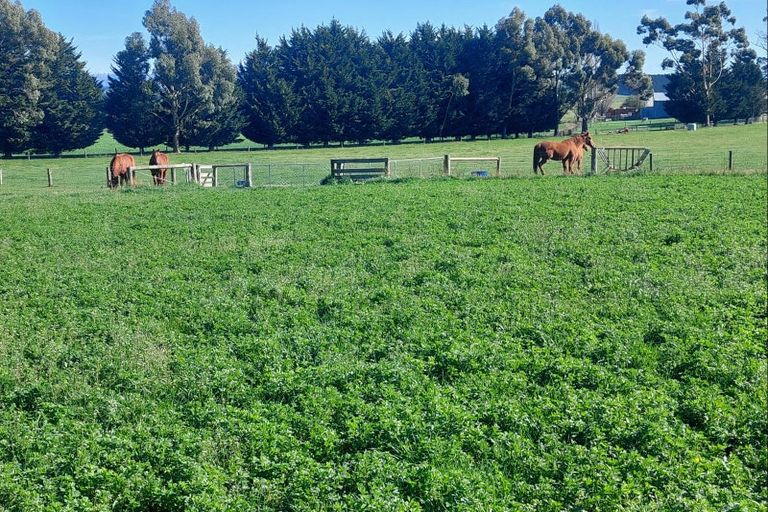 Photo of property in 201 Weston-ngapara Road, Whitstone, Oamaru, 9491