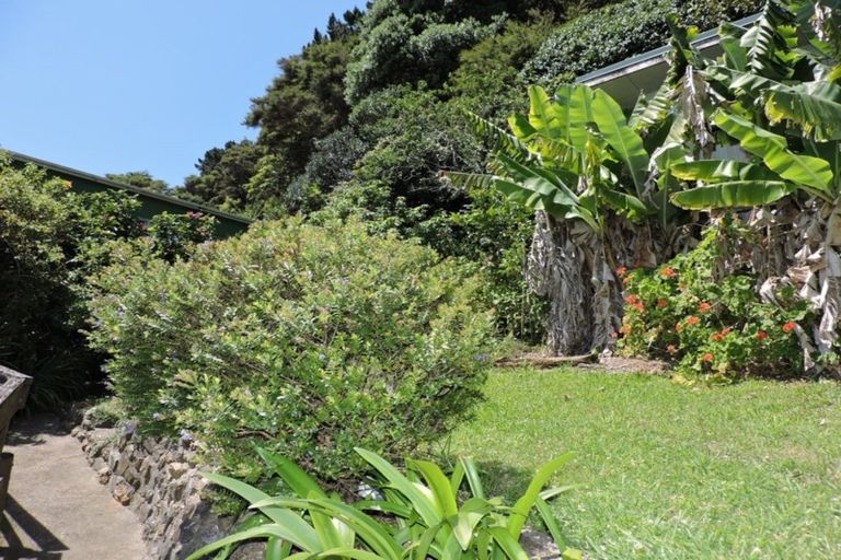 Photo of property in 21 Creagh Street, Tapu, Thames, 3575