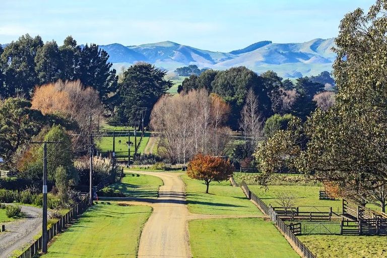 Photo of property in 219a Porangahau Road, Waipukurau, 4200