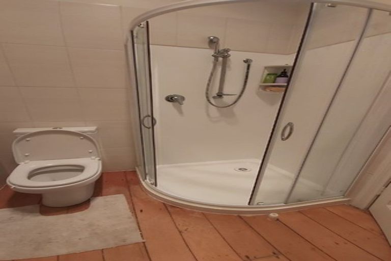 Photo of property in 31 Seafield View Road, Grafton, Auckland, 1023