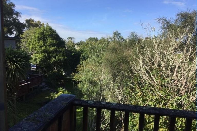 Photo of property in 29 Winter Street, Fairfield, Hamilton, 3214