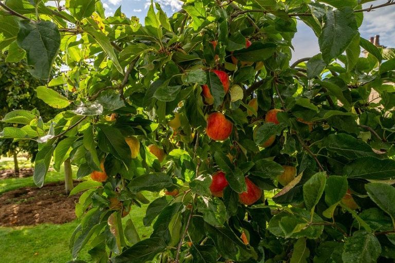 Photo of property in 56 Burgess Road, Herbert, Oamaru, 9495