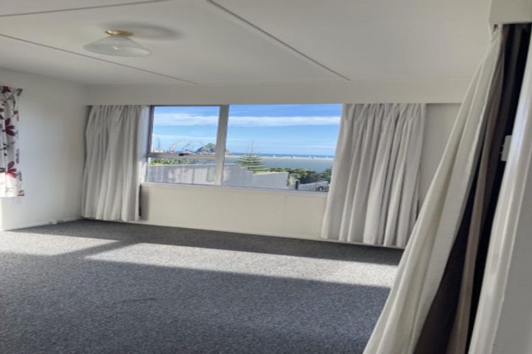 Photo of property in 44b Whiteley Street, Moturoa, New Plymouth, 4310