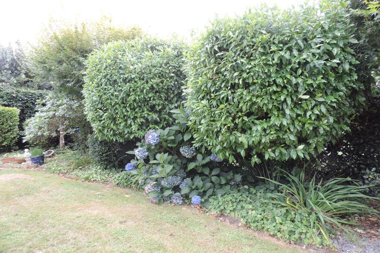 Photo of property in 8 Cedar Crescent, Matamata, 3400