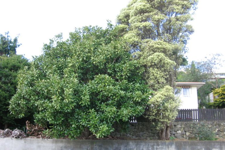 Photo of property in 17 Carlton Street, Bellevue, Tauranga, 3110