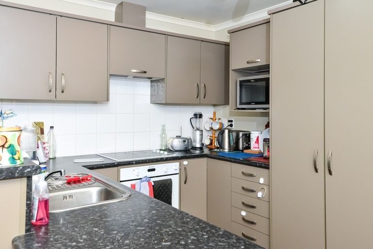 Photo of property in 36c Charlemont Street, Whitiora, Hamilton, 3200