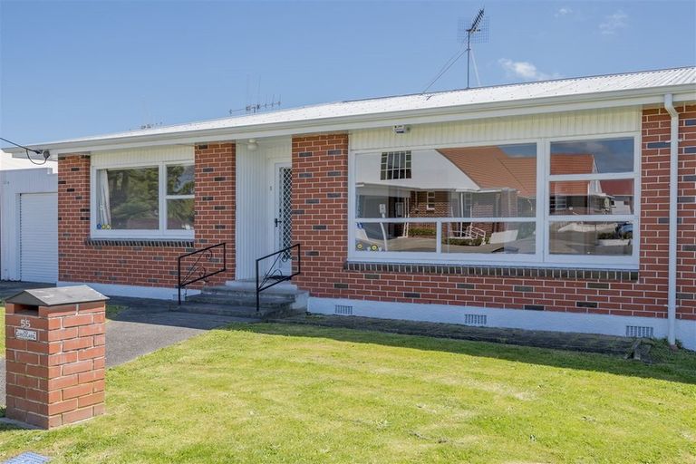 Photo of property in 55 Weraroa Road, Levin, 5510