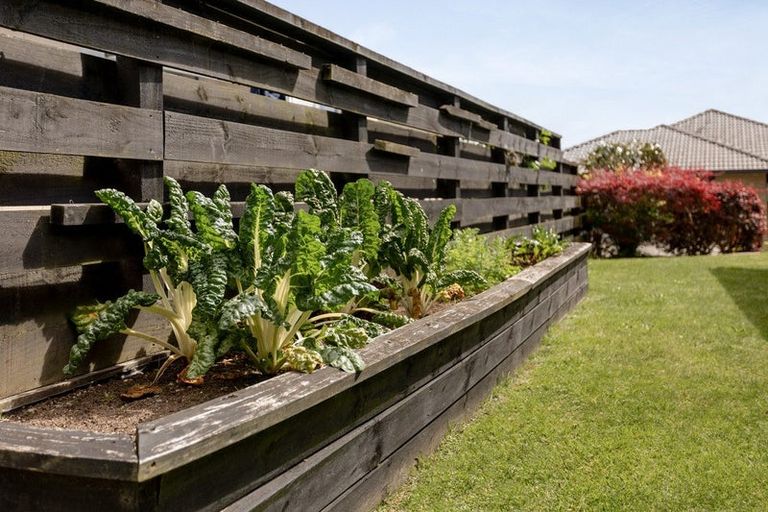 Photo of property in 5 Vista Close, Omokoroa, 3114