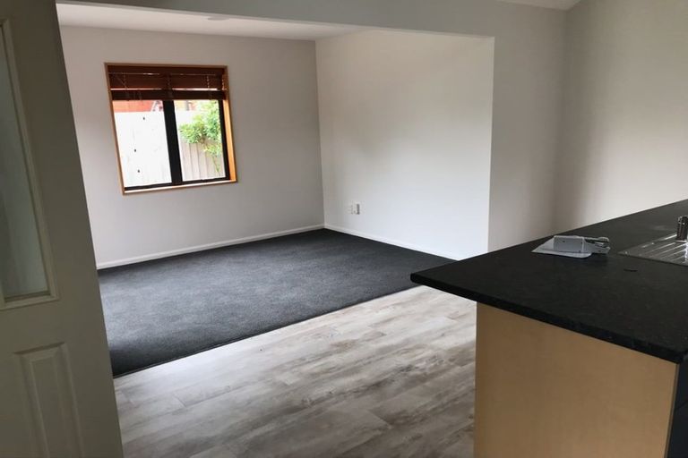 Photo of property in 5a Baretta Street, Somerfield, Christchurch, 8024