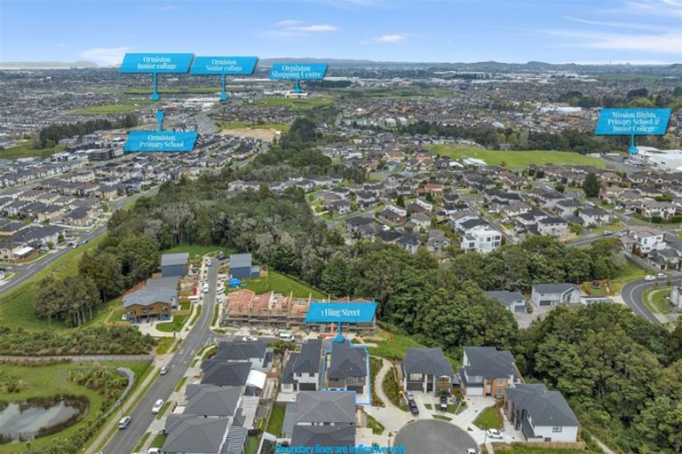 Photo of property in 1 Hing Street, Flat Bush, Auckland, 2019