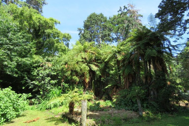 Photo of property in 15 Ives Street, Hector, 7822