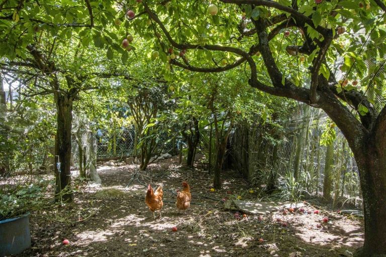 Photo of property in 10 Richmal Street, Waihi, 3610