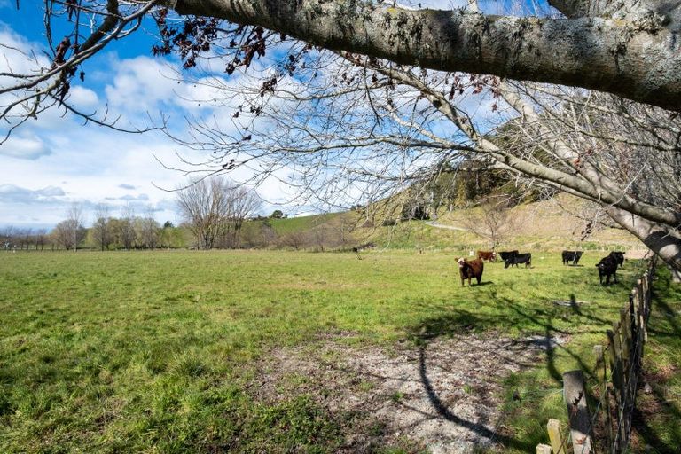 Photo of property in 339 Seafield Road, Eskdale, Napier, 4182