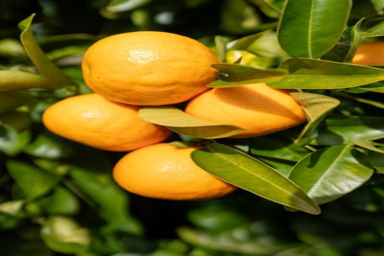 Photo of property in 8 Oaklands Drive, Cambridge, 3434