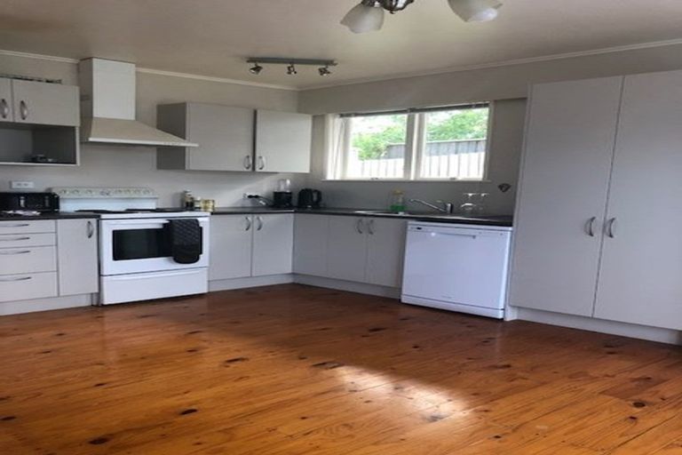 Photo of property in 20 Mcdonald Crescent, Mount Wellington, Auckland, 1060