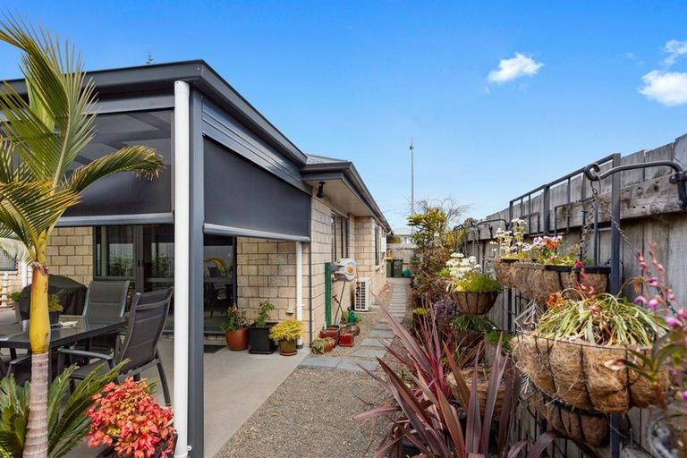 Photo of property in 16 Stewart Street, Whakatane, 3120