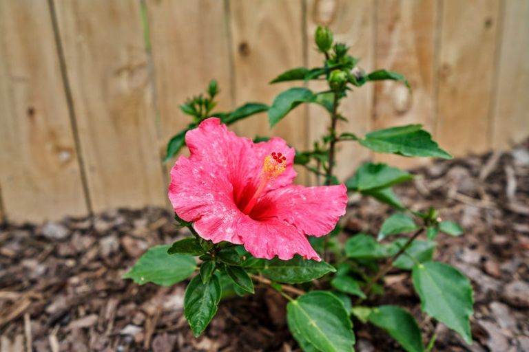 Photo of property in 46 Shoemaker Road, Waipu, 0510