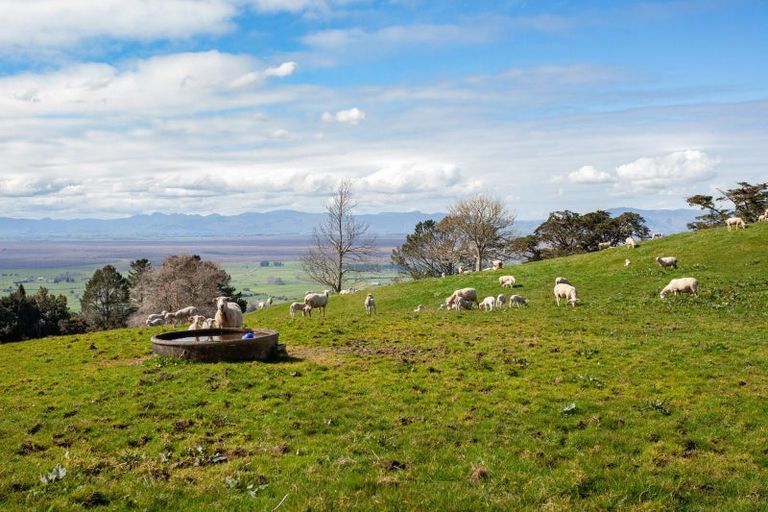 Photo of property in 739 Waiti Road, Tahuna, Morrinsville, 3373