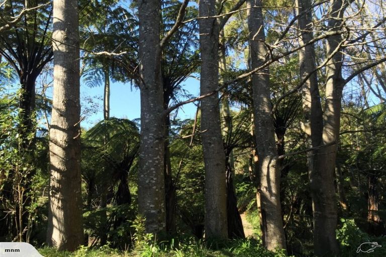 Photo of property in 364 Maniatutu Road, Okere Falls, Rotorua, 3074