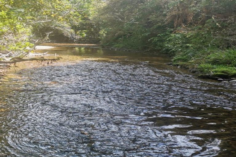 Photo of property in 93 Stafford Road, Awatuna, Hokitika, 7882