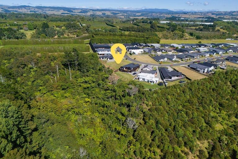 Photo of property in 217 Te Ranga Memorial Drive, Pyes Pa, Tauranga, 3112