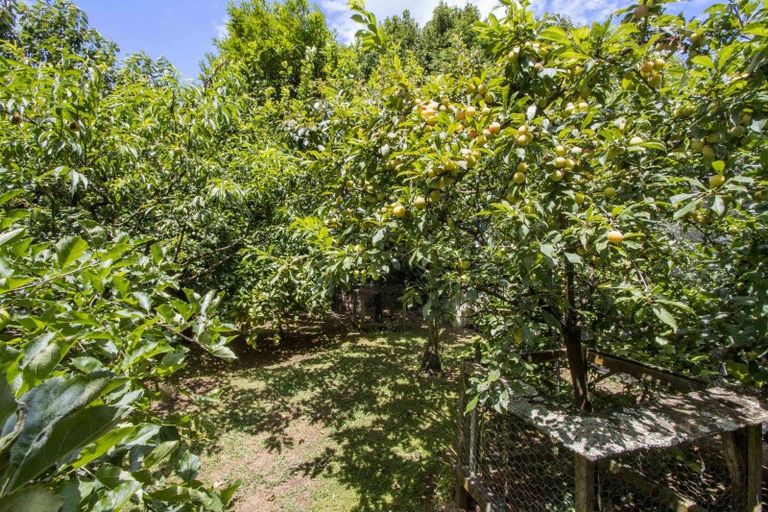 Photo of property in 10 Richmal Street, Waihi, 3610