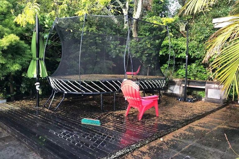 Photo of property in 24a Raumati Road, Remuera, Auckland, 1050