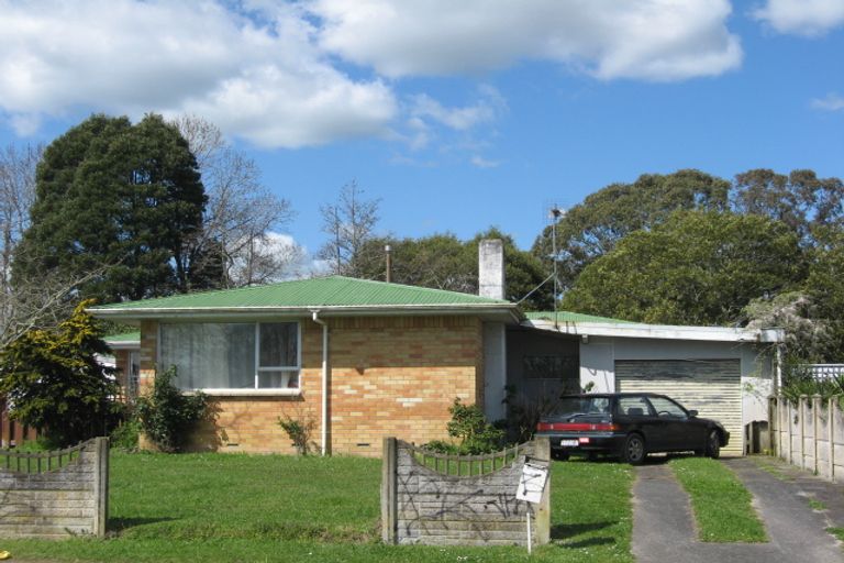 Photo of property in 41 James Henry Crescent, Huntly, 3700