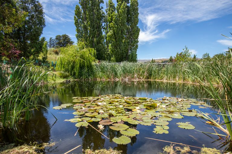 Photo of property in Stone House Gardens, 3196 Fruitlands-roxburgh Road, Coal Creek Flat, Roxburgh, 9571