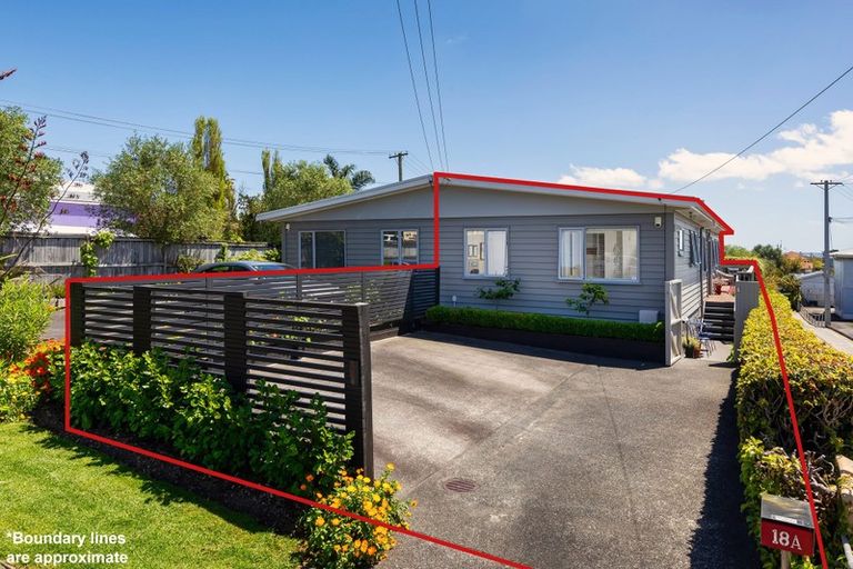 Photo of property in 18a School Road, Morningside, Auckland, 1021