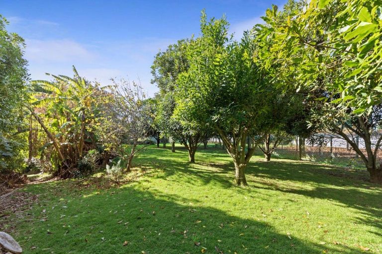 Photo of property in 3 Donelle Place, Te Puke, 3119