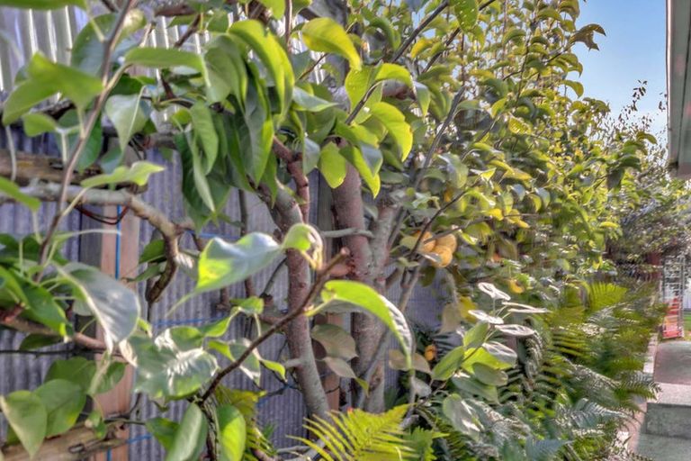 Photo of property in 52 Wesley Street, Kaiapoi, 7630