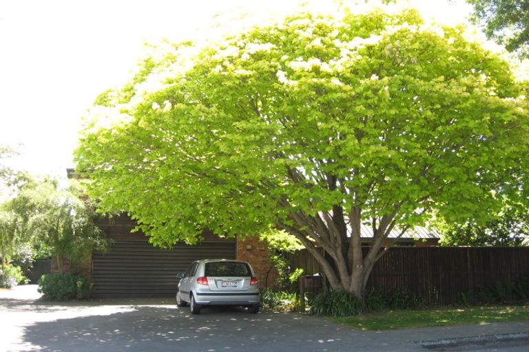 Photo of property in 1/43 Wairarapa Terrace, Merivale, Christchurch, 8014