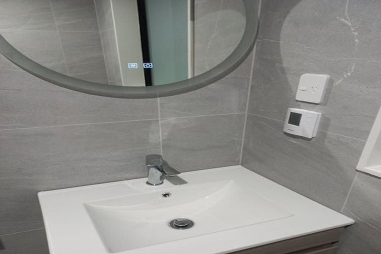 Photo of property in 45 Drumnaconagher Road, Flat Bush, Auckland, 2019