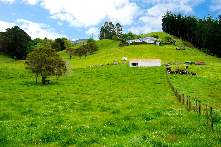 Photo of property in 1341 Tiniroto Road, Waerengaokuri, Manutuke, 4072