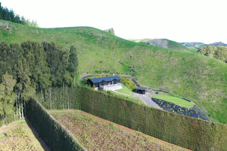 Photo of property in 809 Pikowai Road, Pikowai, Whakatane, 3194