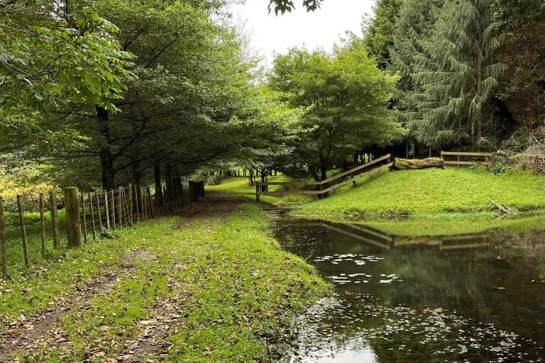 Photo of property in 6339 Matawai Road, Matawai, 4075